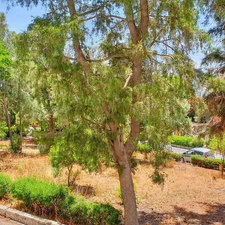 דירה Summer Grove